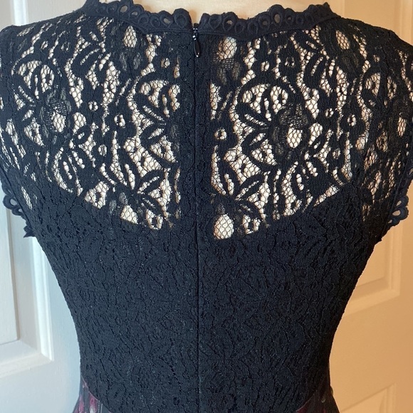 Cynthia Steffe Black Lace Top Dress Size 6 in Like New Condition- Stunning! - Picture 7 of 14